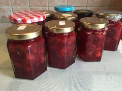 The 2015 Allotment / Veg Patch Thread Part 3 already!