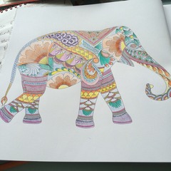 Adult colouring in books