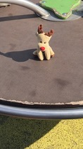 Lost reindeer in Currys in crayford