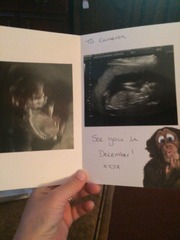 How did you tell your DC about your pregnancy?