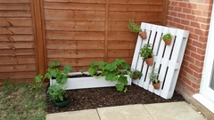 New build garden update...