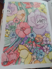 Adult colouring in books