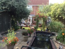 Support For Anyone That Has Lost A Parent