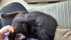 Breathing through the scanxiety, putting all our faith in Jill and fantasising about illicit paddling pools and fanjo fans - it's JS grads thread 32!