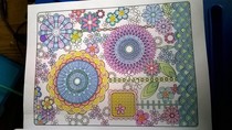 Adult colouring in books