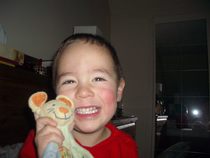 Appeal for help to find or replace a childs beloved  lost toy