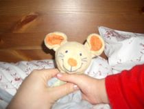Appeal for help to find or replace a childs beloved  lost toy