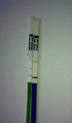 There was a viroid named Just, who was all wanton and lust. But her fanjo's a numpty, so she named it country, and they have a skittletits bust! It's JSing 50!!