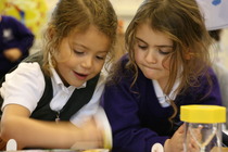Should parents be involved in their child's education?