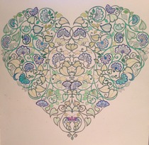 Adult colouring in books