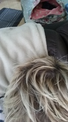 For those of us going grey