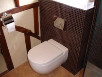 What's the current fashion for bathrooms?