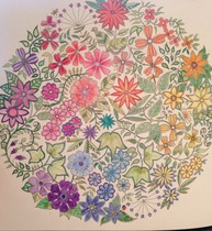 Adult colouring in books