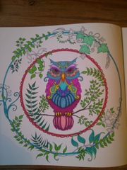 Adult colouring in books
