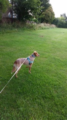 Our new addition