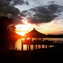 Recurrent Miscarriage Support Thread 28 - Tests, Treatments, Trying again, Trying to stay sane and most of all TREMENDOUS support!