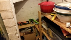 Damp proofing? Advice needed!