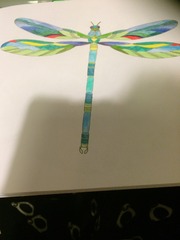 Adult colouring in books