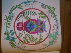 Adult colouring in books