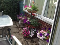 Support For Anyone That Has Lost A Parent