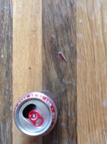 I have never been so insulted! Coca-cola enterprises!