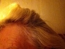 For those of us going grey