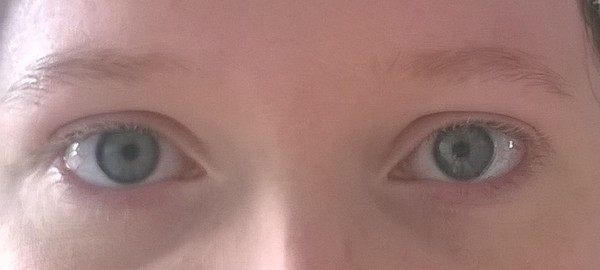 For my 26th birthday I appear to have been given the gift of eyebrows... and I have no idea what to do with them!