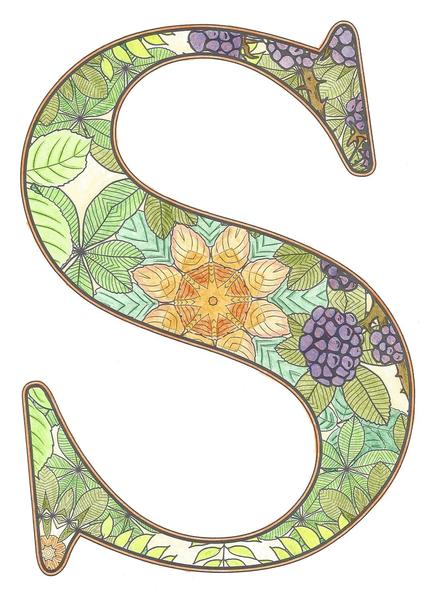 Adult colouring in books