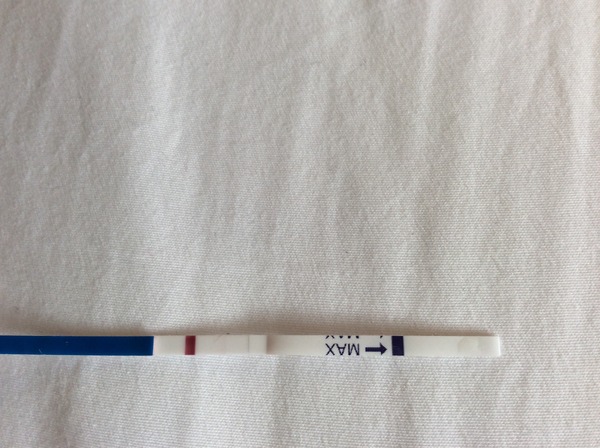 Would you be my Infertility/Clomid/Follicle tracking friend please?!