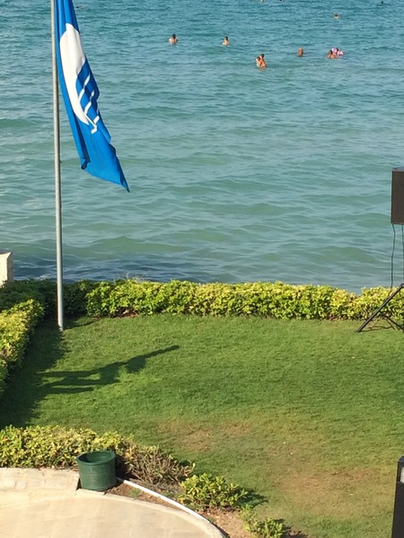 Yoga Chat: Would anyone like to chat here about our daily practice?