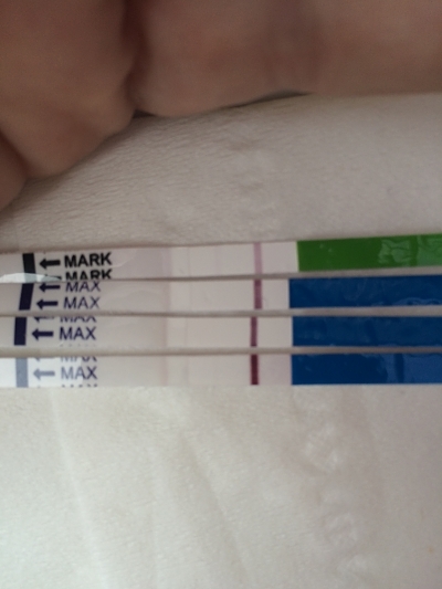 TTC - anxious over early pregnancy possible symptoms?