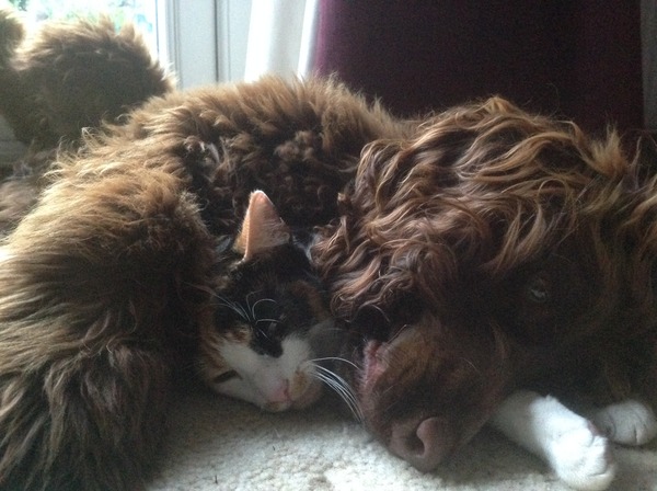 The Brave Babes Battle Bus - Soaking Up The Warm Sunshine, Instead Of The Warm White Wine!