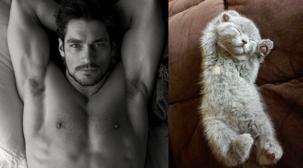 Swagger Inn Thread 108: Swords at the ready? Musketeering a go-go.