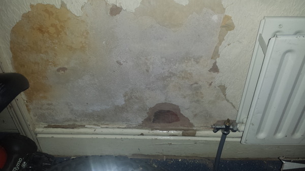 Help! Any landlords around...we've made a mess :(