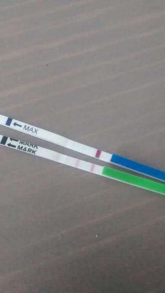 We're peeing over pineapples because we ran out of sticks, but staring at lines is how we get our kicks! Fred 50 was lucky with 6 BFPs, and lots of grads are about to do babies! We are Just Shaggin 51