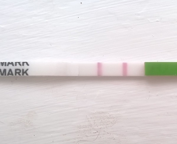 TTC after MC (#7) - fx for better times ahead