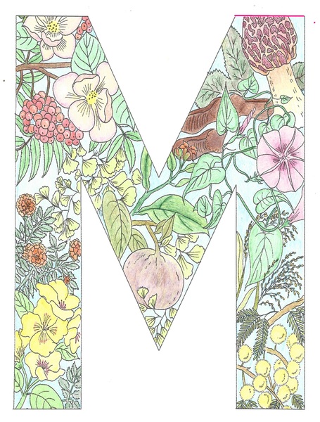 Adult colouring in books