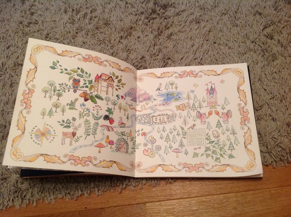 Adult colouring in books