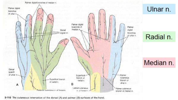 Carpal tunnel syndrome???