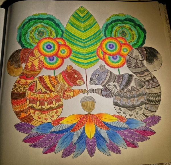 Adult colouring in books