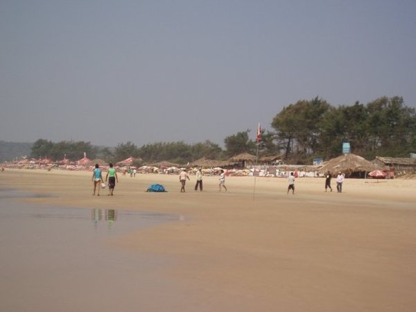 Come one, come all, to the shaggers ball, there's fanjo flags and party bags, we'll laugh a lot and we'll get our tots, so legs in the air for the shaggers extraordinaire! Recruiting YOU on JS52!