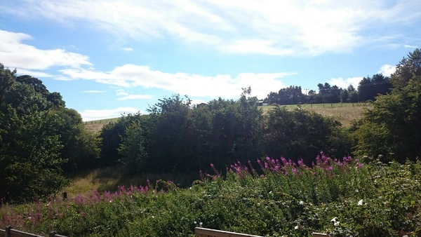...to refuse to go on holiday next year if it's camping again?