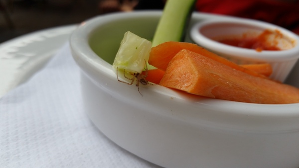Café Rouge menu pour enfant feedback thread: find out how the MNers got on checking out the new kids' menu! NOW CLOSED