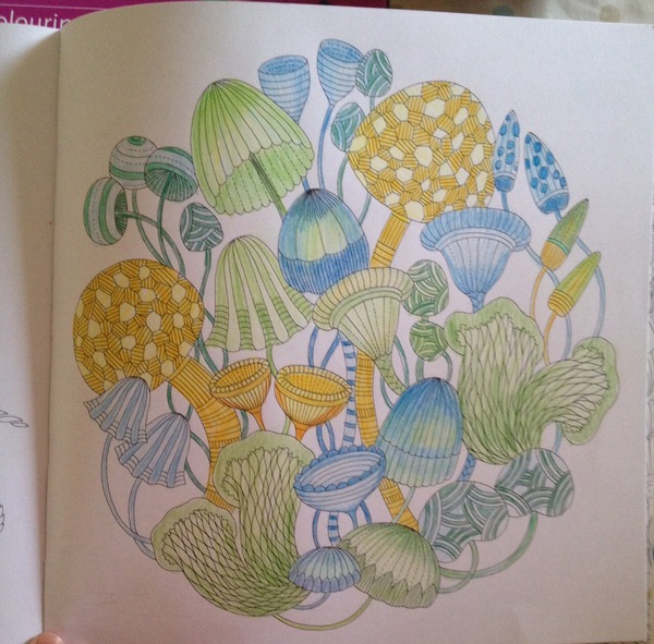 Adult colouring in books