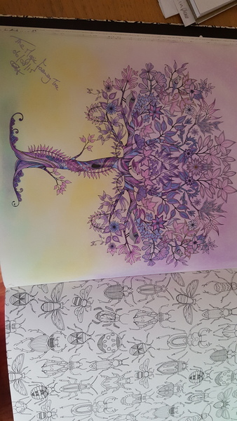 Adult colouring in books