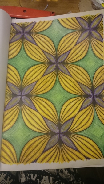 Adult colouring in books