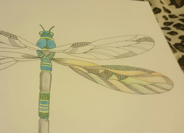 Adult colouring in books