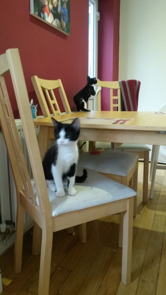 Our new arrivals are due any minute <squeals>