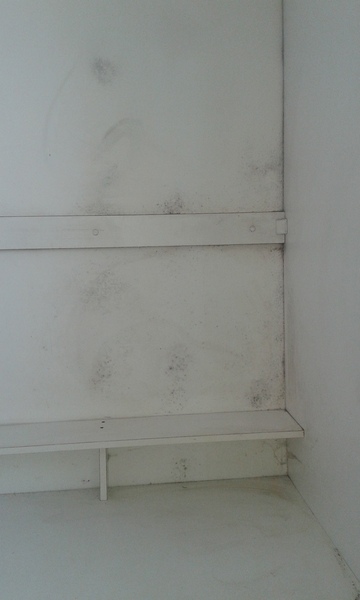 Damp inside fitted wardrobe
