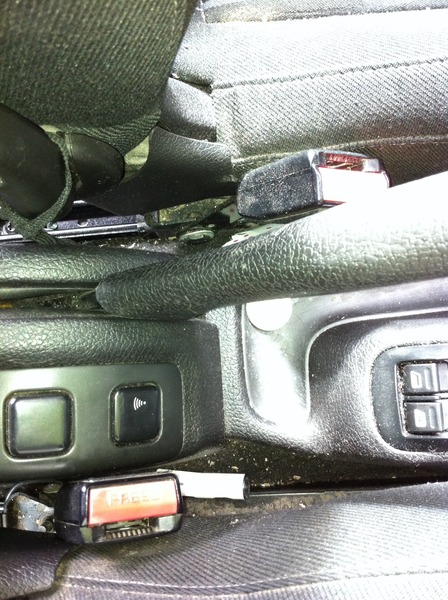 Just Mumming Viroids 6 - some of us have time for JSing, some don't, but we're all grad grads!